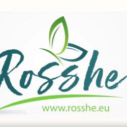 Rosshe